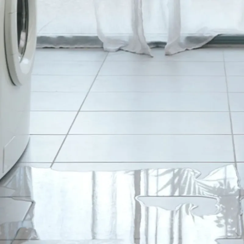 Appliance Leak Cleanup in Nevada, IA