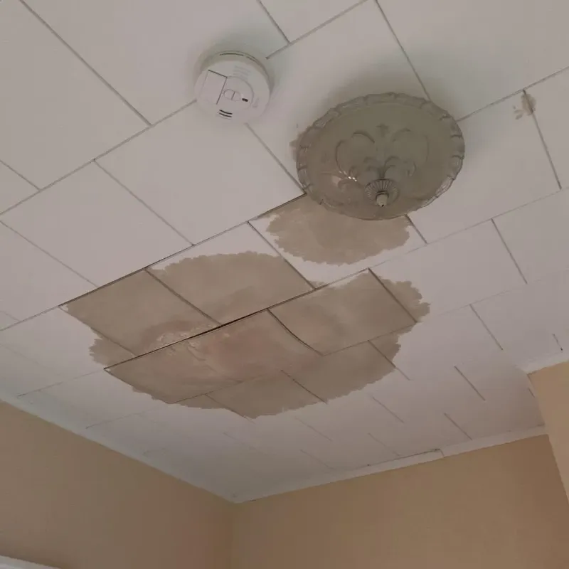 Ceiling Water Damage Repair in Nevada, IA