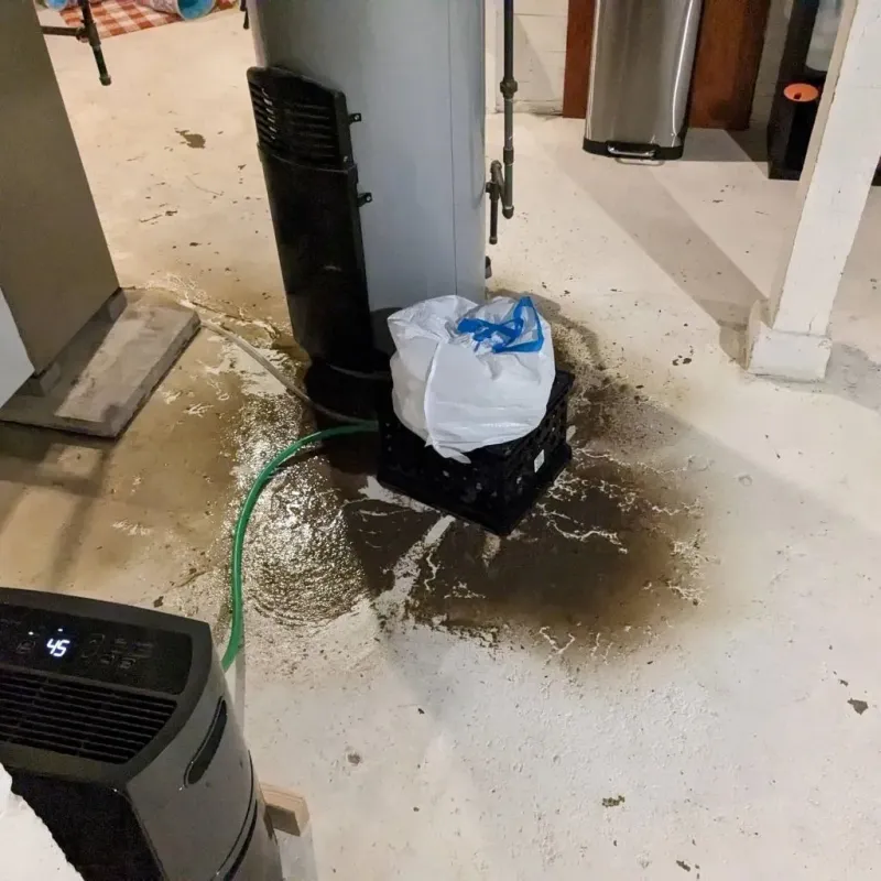 Sewage Backup Cleanup Service in Nevada, IA